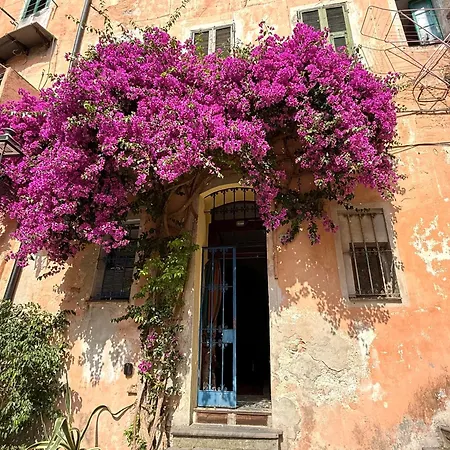 Vecchio Frantoio -