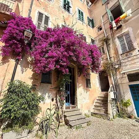 Vecchio Frantoio - Apartment